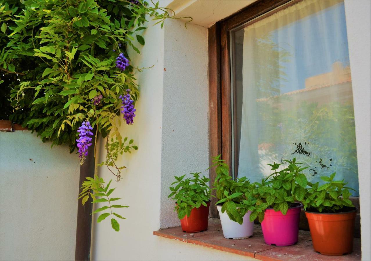 Casa Gandamar B&B Santa Teresa Gallura Exterior photo