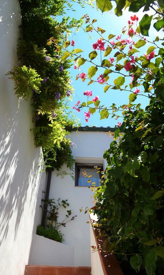 Casa Gandamar B&B Santa Teresa Gallura Exterior photo