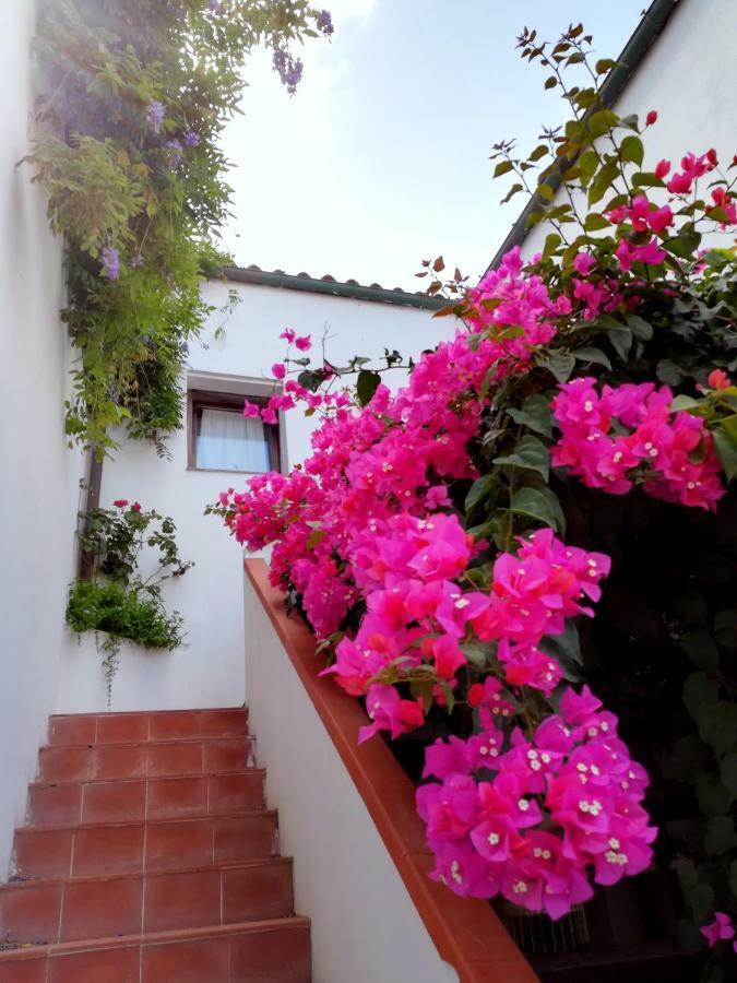Casa Gandamar B&B Santa Teresa Gallura Exterior photo